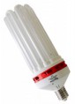 FLUORESCENTE CFL 200W FLORACION